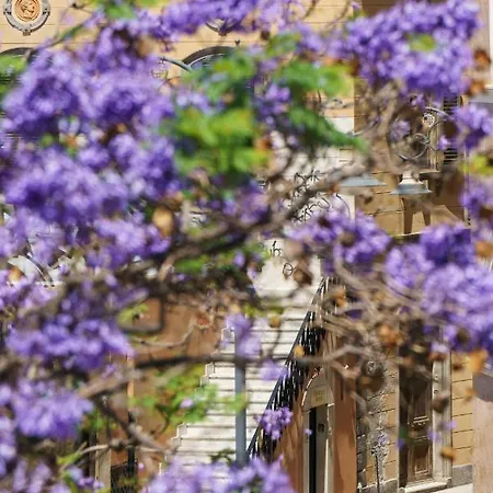 Apartmán Castello House *